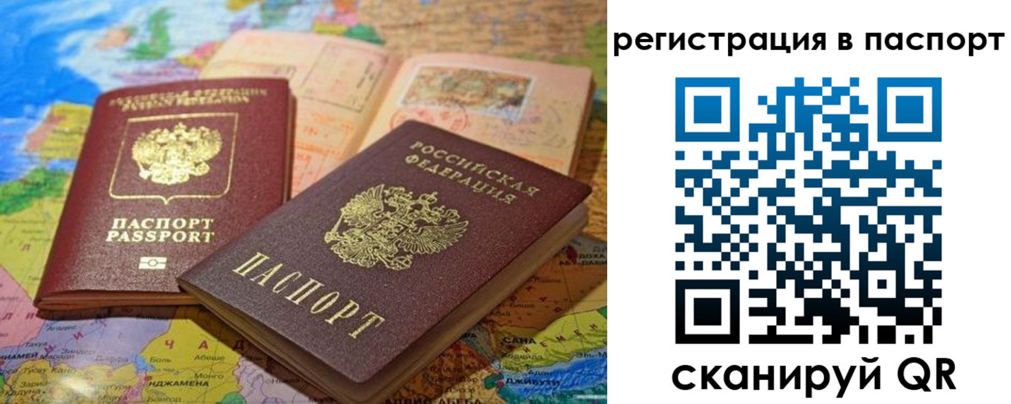 временная регистрация гарантия в Димитровграде